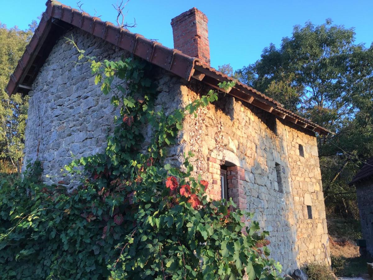 Le Noyer Bed & Breakfast Rougnat Екстериор снимка